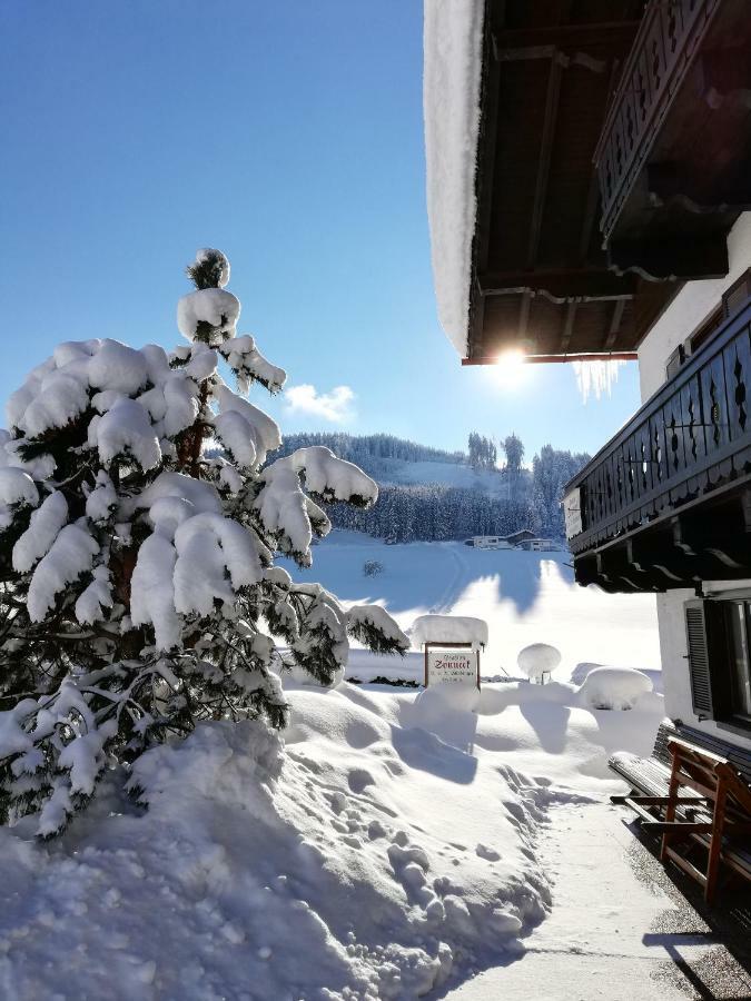 Sonneck Pension Pfarrwerfen Exteriér fotografie